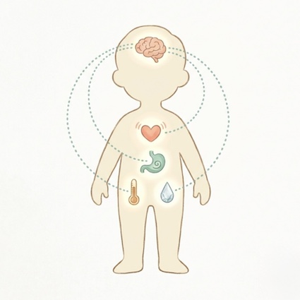 Interoception explained
